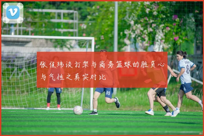 张佳玮谈打架与商务篮球的胜负心与气性之真实对比